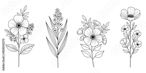 Botanical flower arrangements, black and white sketch, floral line art, nature illustration, elegant plant drawing, flat vector illustration