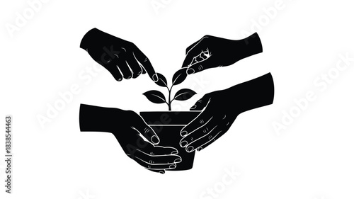 Hands gently cradling a growing plant symbolizing care nurture and new beginnings