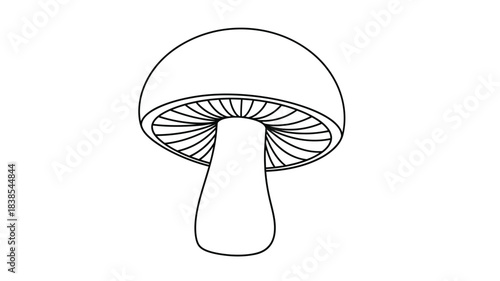 A simple black and white line drawing depicts a single mushroom with detailed gills