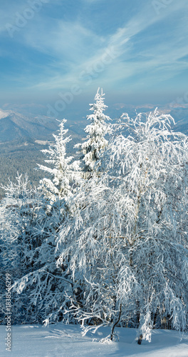 Winter mountain snowy landscape