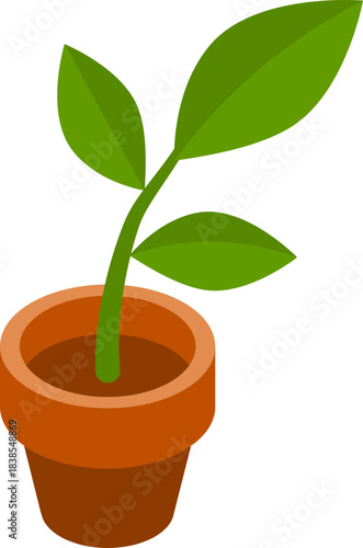 Potted Green Sprout Growing in a Terracotta Pot, Symbolizing Growth and New Beginnings