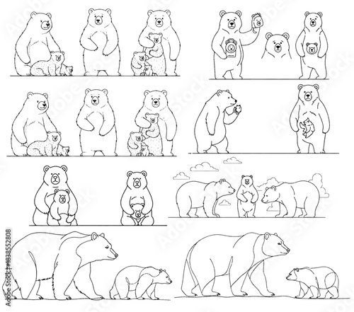 bear cute collection