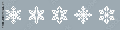 Snowflake set on isolated background.