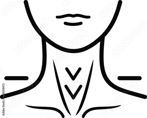 Neck and throat anatomy line illustration