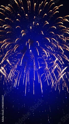 Brilliant golden and white fireworks explode dramatically against a deep midnight blue night sky celebrating a festive occasion
