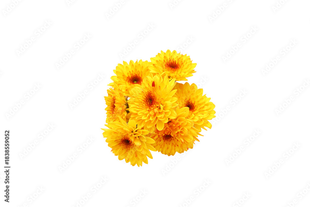 image to crop