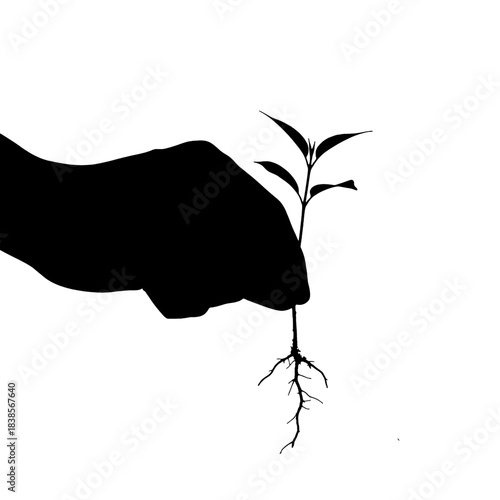 Black silhouette of a hand gently holding a small plant with visible roots, symbolizing new life, growth, and environmental care, isolated on transparent background.