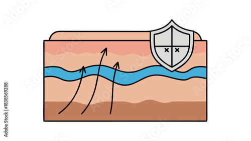 Skin Layers Protected By Shield Symbolizing Barrier Function And Defense Against External Aggressors With Arrows Indicating Moisture Or Nutrient Flow On White Background