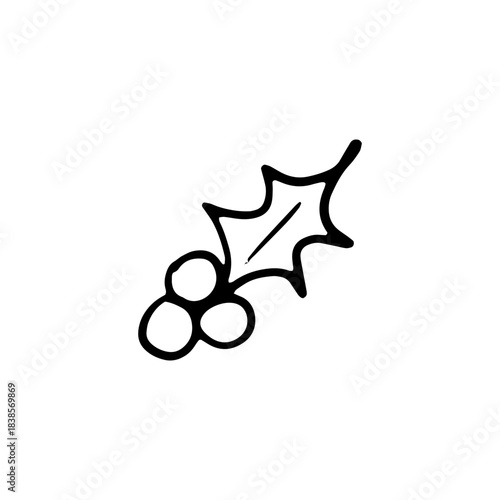 Christmas Holly Berry Sprig Doodle