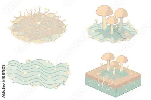 Neural Fungi Mapping. Isometric vector illustration set Neural fungi mapping: interwoven mycelial grid forming digital web, spores