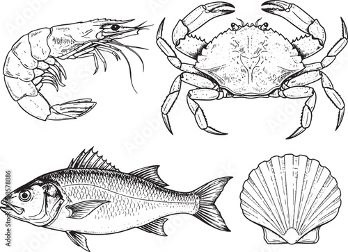 Assorted Seafood Delights: Vintage Etched Crab, Shrimp, Fish, and Scallop Set