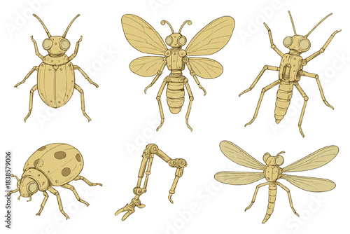 Mechanical Insect Anatomy. Isometric vector illustration set Brass entomology chart: detailed view of insect anatomy with metal