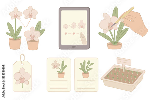 Orchid Pollination Techniques. Isometric vector illustration set Rare orchid pollination techniques: dual-species hybrid chart,
