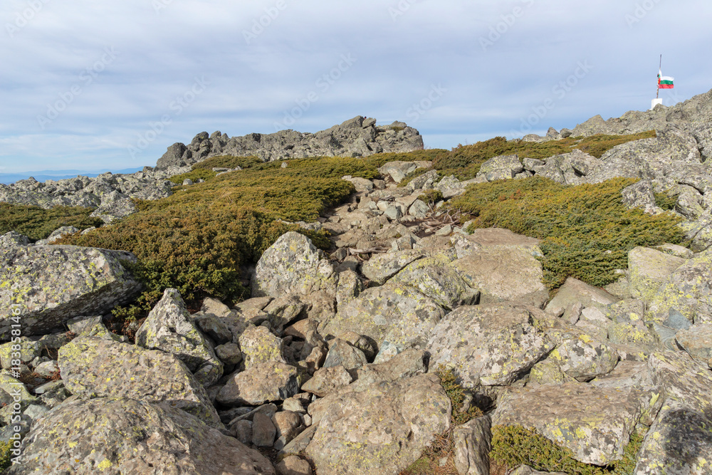 Fototapeta premium Landscape of Vitosha Mountain near Kamen Del peak, Bulgaria