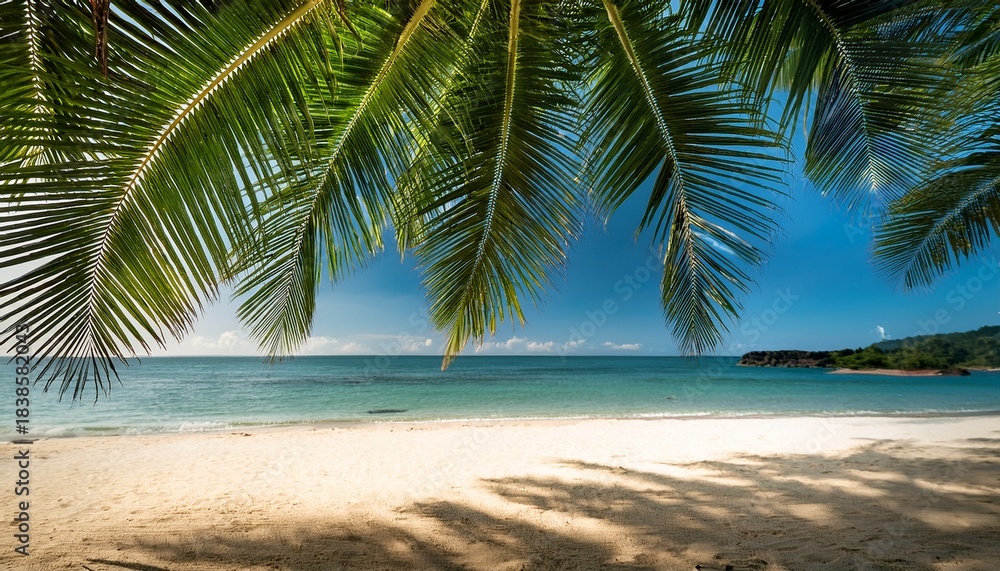 Obraz premium Green Leaves Of Palm Tree And Tropical Beach