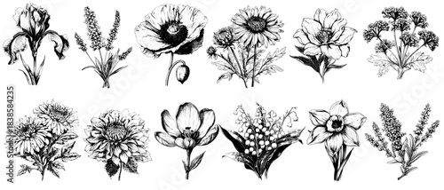 Vintage Botanical Flowers, Retro Xerography Engraving, Black and White Halftone Floral Vector Set