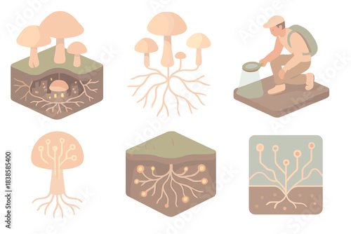 Bio-Urban Network Exploration. Isometric vector illustration set Bio-urban network: forest floor revealing glowing underground