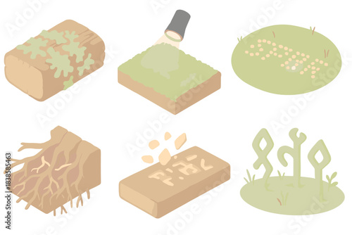 Forest Steganography Art. Isometric vector illustration set Forest steganography: lichen forming invisible patterns on wood, mossy