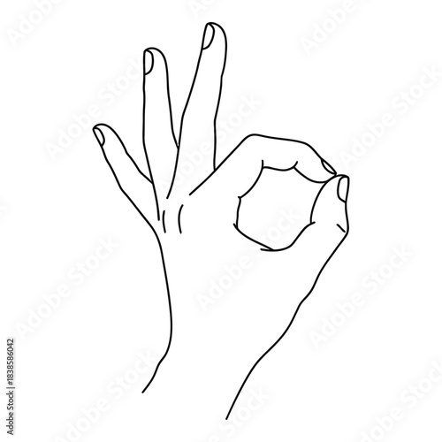 Hand gesture showing okay symbol in minimalist line art style
