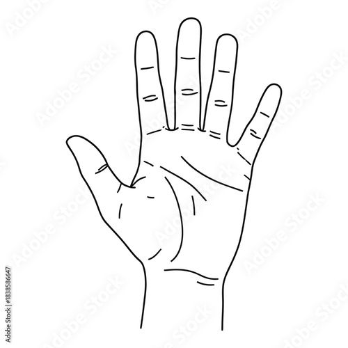 Hand Palm Reading Divination Fate Line Outline Vector Illustration Design