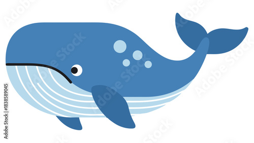Blue Whale Illustration With Spots And White Stripes On Belly Isolated On Black Background