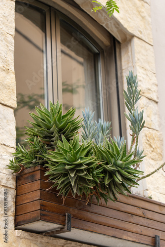 Succulent window planter on rustic stone facade