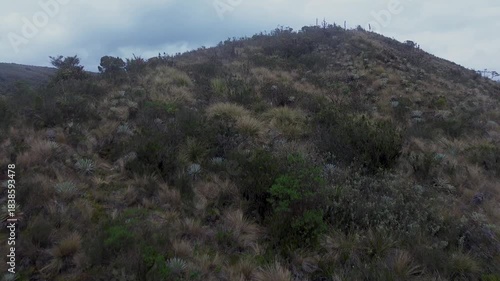 Drone Flying Over Paramo Moor Vegetation. High quality 4k footage