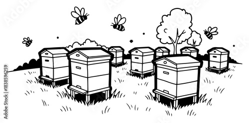 Apiary landscape with wooden beehives and flying bees in a meadow vector illustration in black and white style