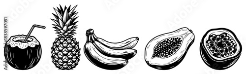 Tropical fruit vector set featuring pineapple banana and coconut cocktail in vintage engraving sketch style for summer menu