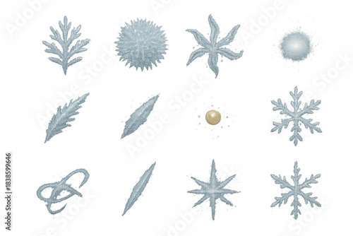 Various snowflake shapes and forms isolated on a black background