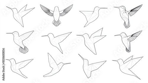 Collection of hummingbird line art outlines, showing various flying positions, on white background