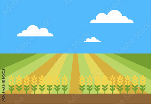 Rows of golden ripe wheat growing in a vast agricultural field.