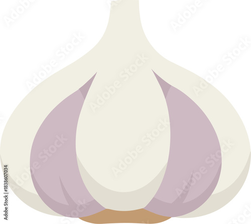 A single fresh garlic bulb with visible cloves illustration.