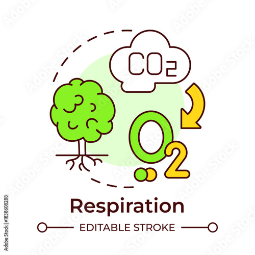 Respiration multi color concept icon. Carbon dioxide, plant photosynthesis. Ecology impact. Round shape line illustration. Abstract idea. Graphic design. Easy to use in article, brochure
