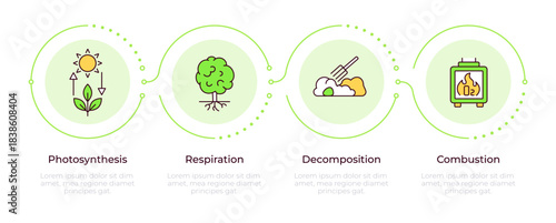 Carbon recycling cycle infographic 4 steps. Waste decomposition, ecosystem health. Flow chart infochart. Editable vector info graphics icons. Montserrat-SemiBold, Regular fonts used