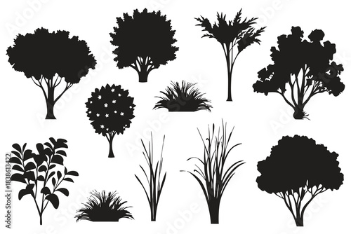 Collection of diverse tree and plant silhouettes for landscape design silhouette