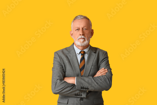 Handsome mature man in styl...