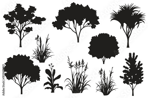 Collection of diverse tree and plant silhouettes against a white background silhouette