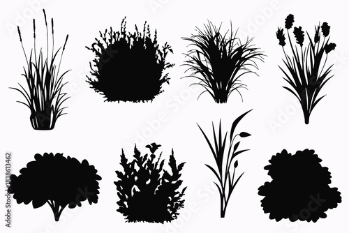 Collection of diverse plant and grass silhouettes in black and white silhouette