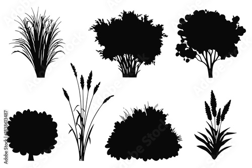 Collection of diverse plant and tree silhouettes for landscape design silhouette