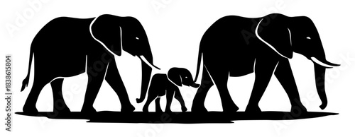 Black and white illustration of a family of elephants and their cubs following each other as a symbol of family, motherhood, fatherhood, care, childhood and affection Vector graphics. EPS.
