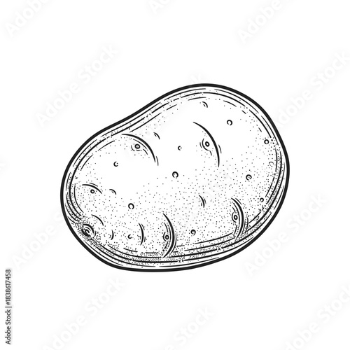 Detailed Black And White Line Drawing Of A Single Potato On A Plain White Background