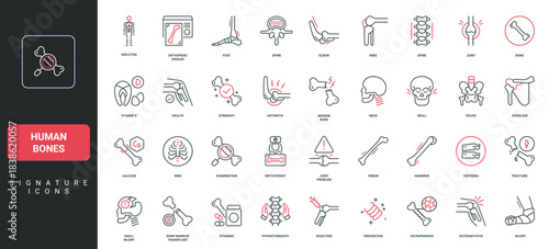 Human bones and joint care, rheumatology, medical support for orthopaedic diseases, injury line icon set. Pain of broken bone, osteoarthritis thin black and red outline symbols vector illustration