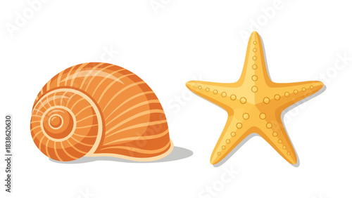 A spiral orange seashell and a yellow starfish on a white background