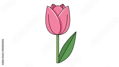A stylized illustration of a pink tulip flower with a green stem and a single leaf