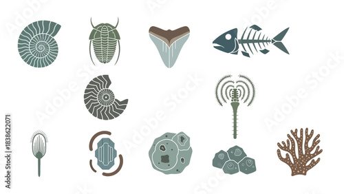 Fossil icons vector illustrations of ancient creatures and artifacts