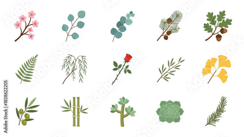 Illustrated botanical branches assortment isolated on white background