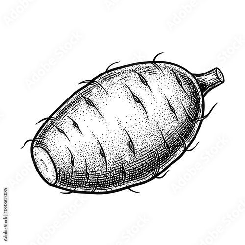 A line drawing of a root vegetable on a white background, representing a fresh and natural ingredient.
