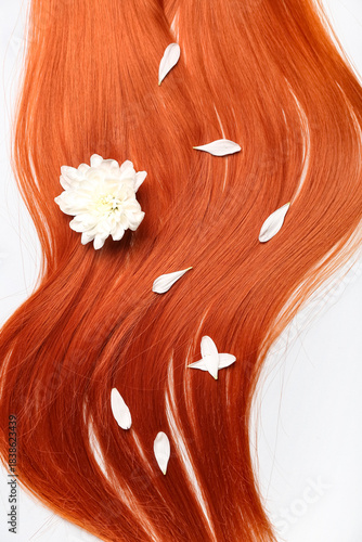 Composition with ginger hai...
