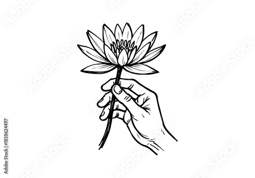 Water Lily hand drawn simple sketch vector illustration